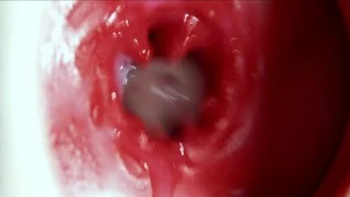 Big orgasm inside the anus! Fantastic moaning orgasm and a lot of sperm!