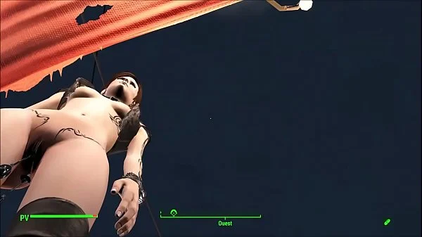 FO4 Vibratory objects in the vagina and anus