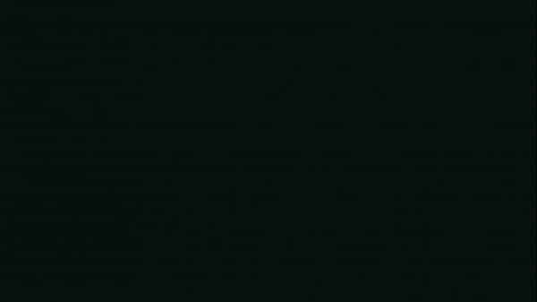 Seth Brogan Cums On Everly Haze’s Anus After Creampied Her!