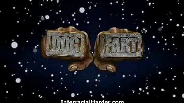 White Blond on Black Steele 23