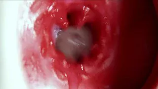 Big orgasm inside the anus! Fantastic moaning orgasm and a lot of sperm!