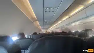 Делаю минет в самолете, пока меня не спалили с членом во рту