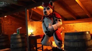 Husky Fursuiter Suspension Jerkoff