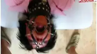 one day blowjob-bitch!