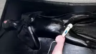 Vacbed + Lube + Bad Dragon Nox Dildo + Wand = Multiple Orgasms for Miss Perversion